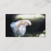 シャムの白身魚 名刺 (裏面)