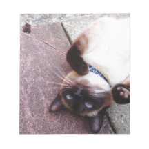 シャムよくはしゃぐゼ