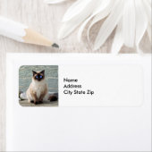 シャムエレガントネコ写真ラベル ラベル (インサイチュ)