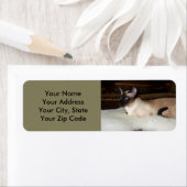 シャムエレガントネコ ラベル (インサイチュ)