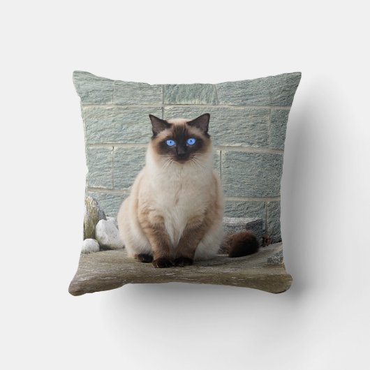 シャムエレガント猫の写真 クッション (裏面)