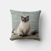 シャムエレガント猫の写真 クッション (正面)