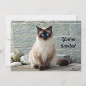 シャムエレガント猫フォト誕生日招待状 招待状 (正面)