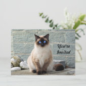 シャムエレガント猫フォト誕生日招待状 招待状 (スタンド正面)