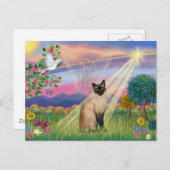 シャムキャット-クラウドエンジェル ポストカード (正面/裏面)