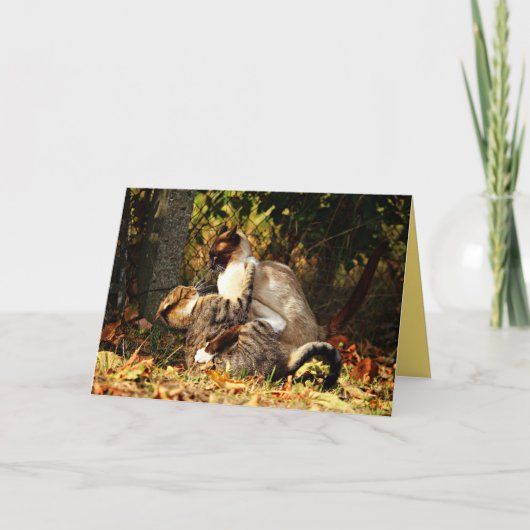 シャムネコちゃんの可愛いカスタマイズカード カード (正面)