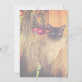 シャムネコのパーティー 招待状 (裏面)