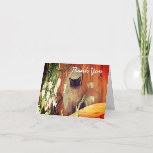 シャムネコの感謝を伝えるポストカード サンキューカード (正面)