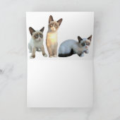 シャムハッピーバースデーカード シーズンカード (内部)