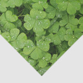 シャムロックのティッシュペーパーの緑の自然 薄葉紙 (詳細)