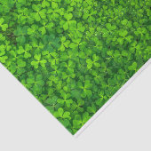 シャムロックスクロ葉ーバーズSt.パトリックの日フェスティバル 薄葉紙 (詳細)