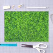 シャムロックス・ガローレ 薄葉紙 (クラフト)