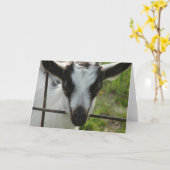 シャムロック カード (黄色い花)