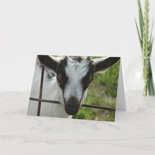 シャムロック カード (正面)