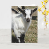 シャムロック カード (黄色い花)