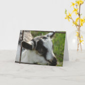 シャムロック カード (黄色い花)