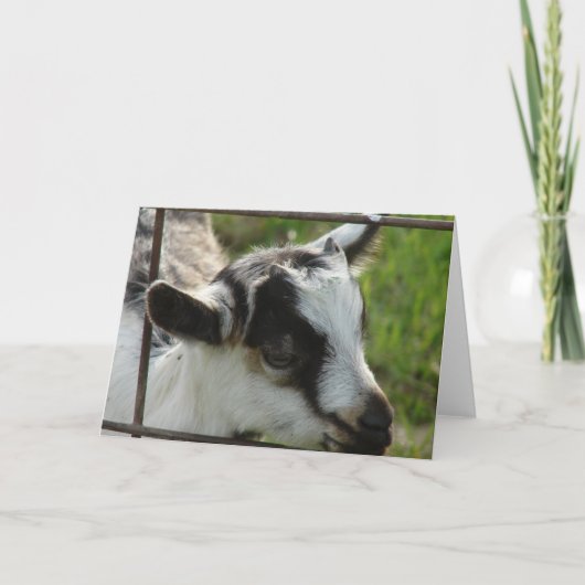 シャムロック カード (正面)