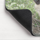 シャム及びつる植物 マウスパッド (コーナー)