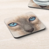 シャム子猫 コースター (左側)