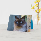 シャム猫かわいいカスタマイズ可能なカード カード (黄色い花)