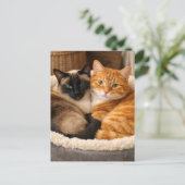 シャム猫とオレンジ猫のかわいい猫たち ポストカード (スタンド正面)