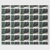 シャム猫のクリスマスの冬 ラッピングペーパー (フラット)