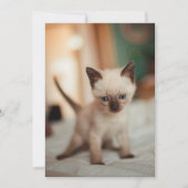 シャム猫のクリスマス シーズンカード (正面)