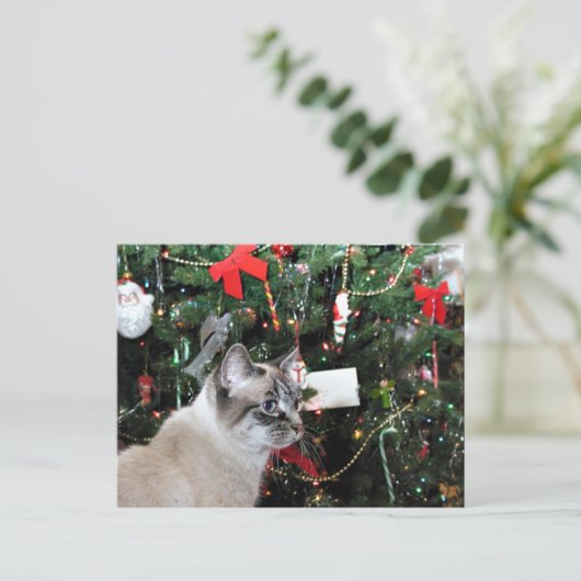 シャム猫のクリスマス シーズンポストカード (スタンド正面)