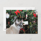 シャム猫のクリスマス シーズンポストカード (正面/裏面)