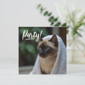 シャム猫のスパパーティーご招待 招待状 (スタンド正面)