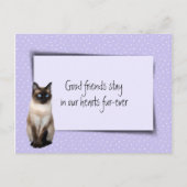 シャム猫のペットロス(獣医からの) ポストカード (正面)