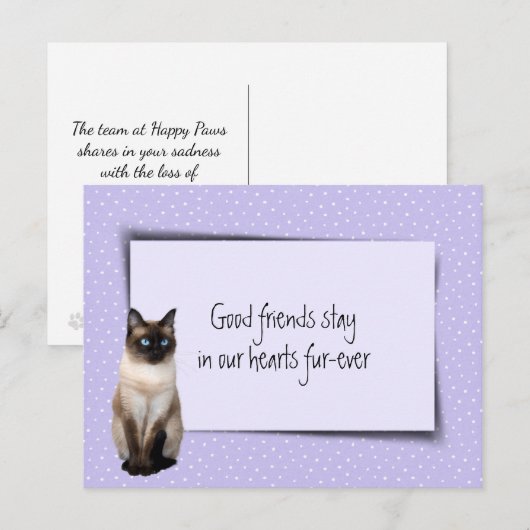 シャム猫のペットロス、獣医から ポストカード (正面/裏面)