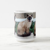 シャム猫のマグカップ ギフト コーヒーマグカップ (中央)