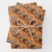 シャム猫の動物模様 ラッピングペーパーシート (インサイチュ)