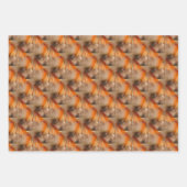 シャム猫の動物模様 ラッピングペーパーシート (正面)