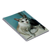 シャム猫の友人 ノートブック (右側)