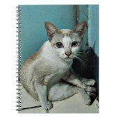 シャム猫の友人 ノートブック (正面)