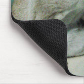 シャム猫の友人 マウスパッド (コーナー)