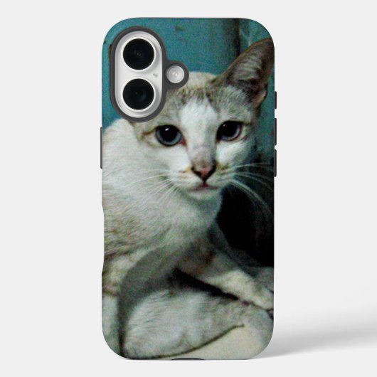 シャム猫の友達 Case-Mate iPhoneケース (裏面)
