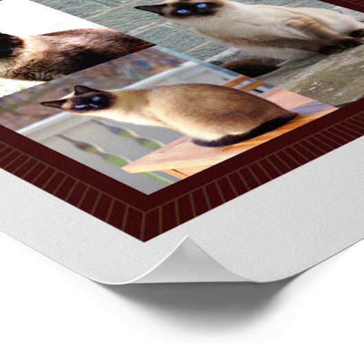 シャム猫の家族のフレーム写真ギフト ポスター (角)