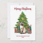 シャム猫の家族クリスマス シーズンカード (正面)