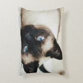 シャム猫の枕 アクセントクッション (正面(垂直))