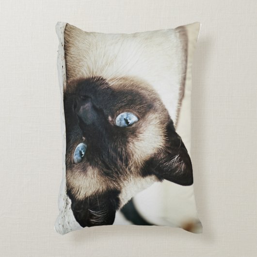 シャム猫の枕 アクセントクッション (正面(垂直))