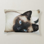 シャム猫の枕 アクセントクッション (裏面)