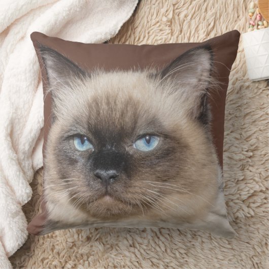 シャム猫の枕 クッション (ブランケット)