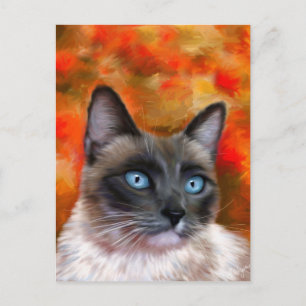 シャム猫の火と氷絵を描の ポストカード