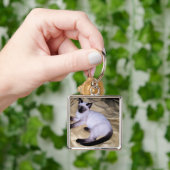 シャム猫の砂岩動物の芸術ペットかわいい子猫 キーホルダー (手)