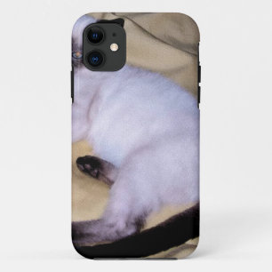 シャム猫の砂岩動物の芸術ペットかわいい子猫 iPhone 11 ケース