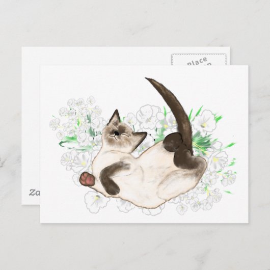 シャム猫の美しいアートの贈り物とアクセサリー ポストカード (正面/裏面)
