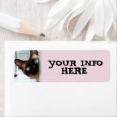 シャム猫の覗き見差出人住所ラベル ラベル (インサイチュ)